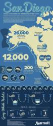 San Diego Infographic Whale Watching